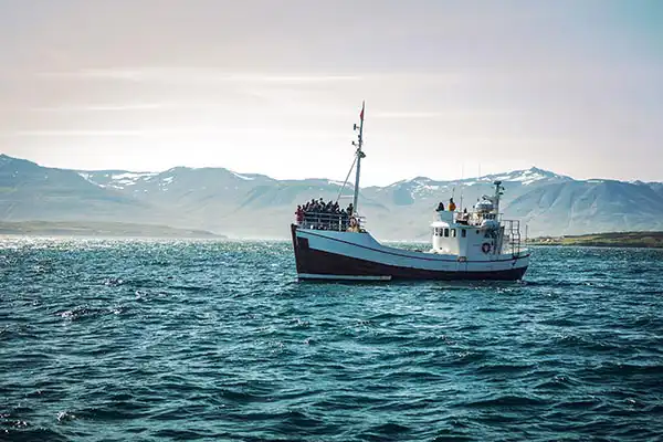 Visites Reykjavik Visites Reykjavik