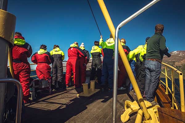 Observation des baleines à Reykjavík