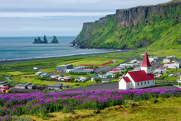 Reykjavik excursion Excursions d'une journée à Reykjavik