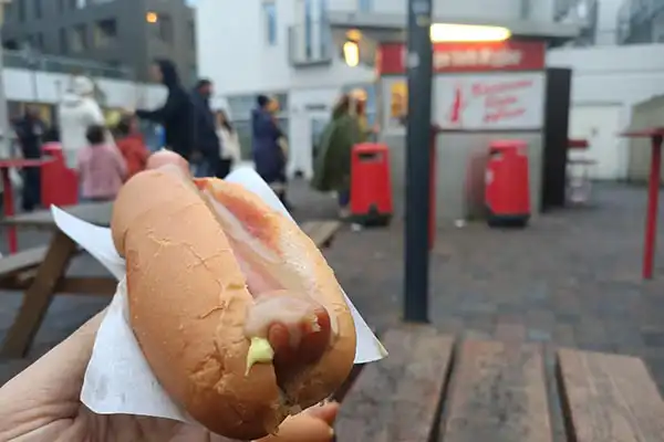 que voir a Reykjavik